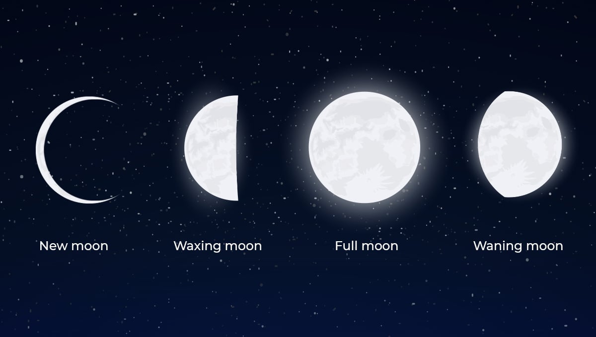 Lunar calendar: moon phases
