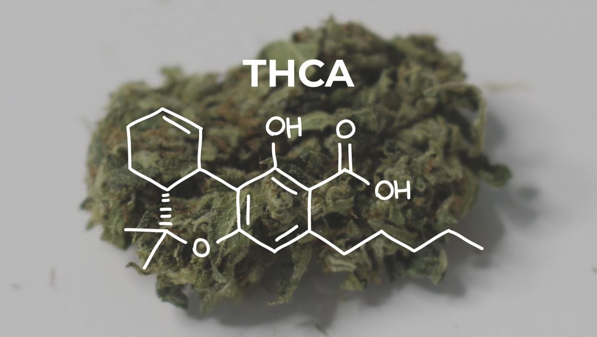 THCA's cannabinoid molecular structure.