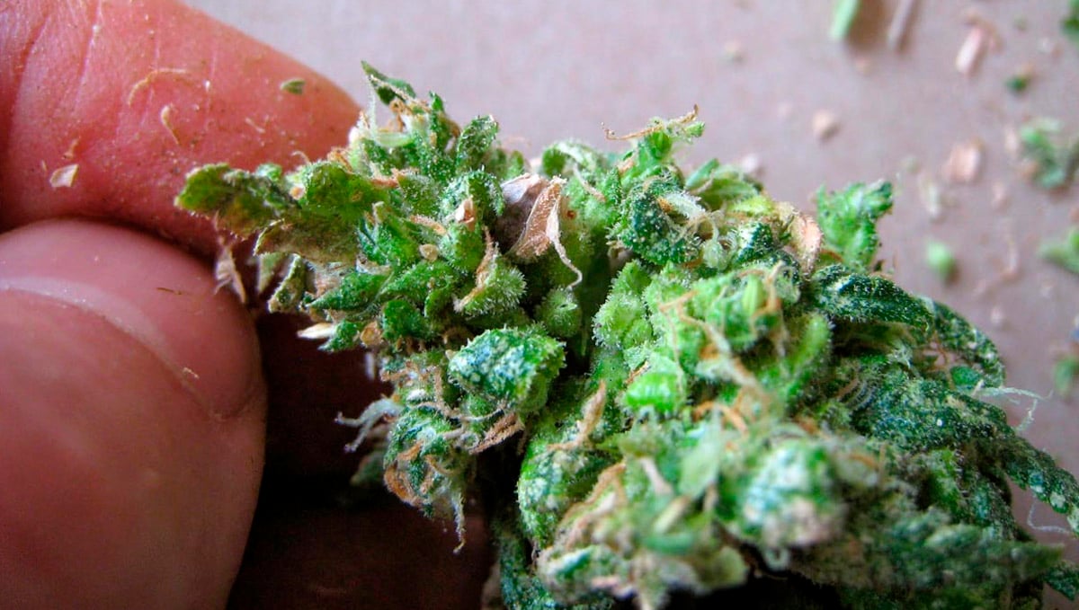 Make sure you remove the seeds in your buds.