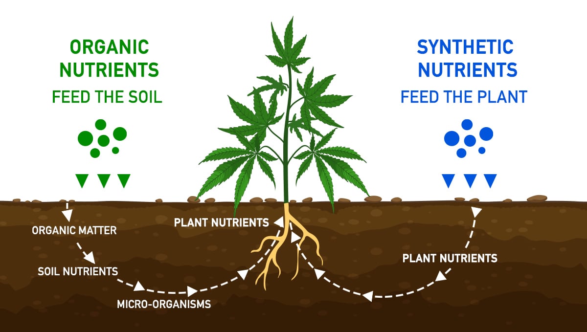 The importance of water purity: nutrient distribution