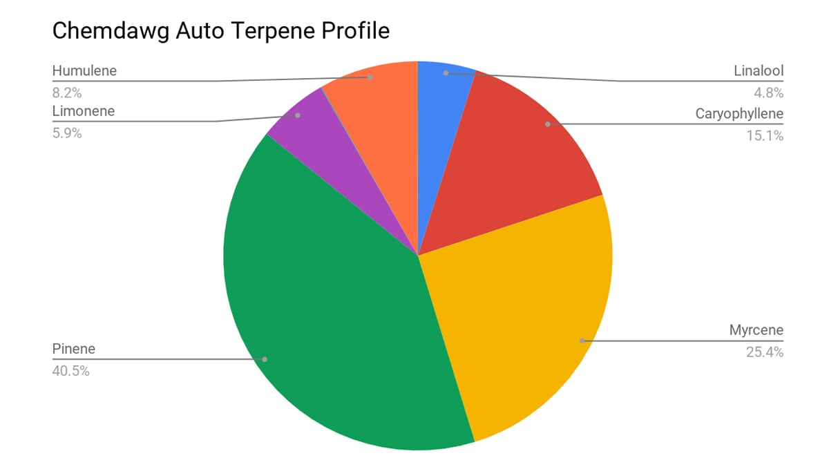 Chemdawg auto guide: terpene profile