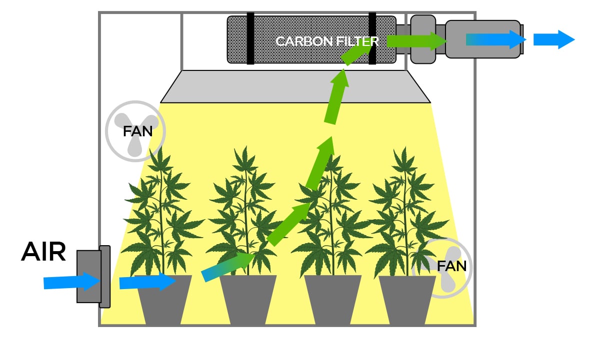 The Importance Of Air Circulation In Indoor Cannabis Grow | Fast Buds