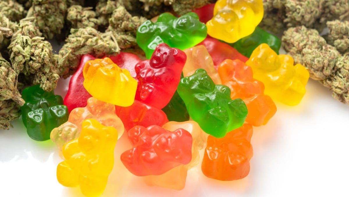 How to make cannabis edibles: infused gummies ingredients