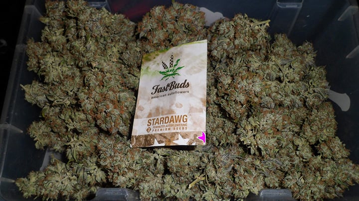 Хранить марихуану в пакете время всхода семян конопли