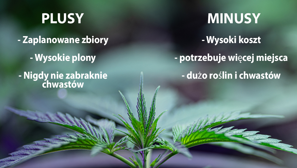 How To Maintain A Perpetual Harvest: pros and cons