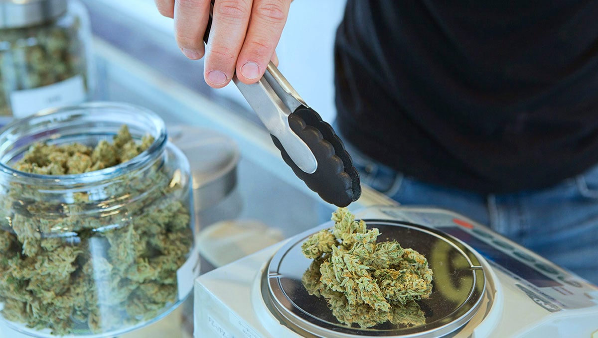 Dispensaries work more like pharmacies, with a budtender to sell you some marijuana.