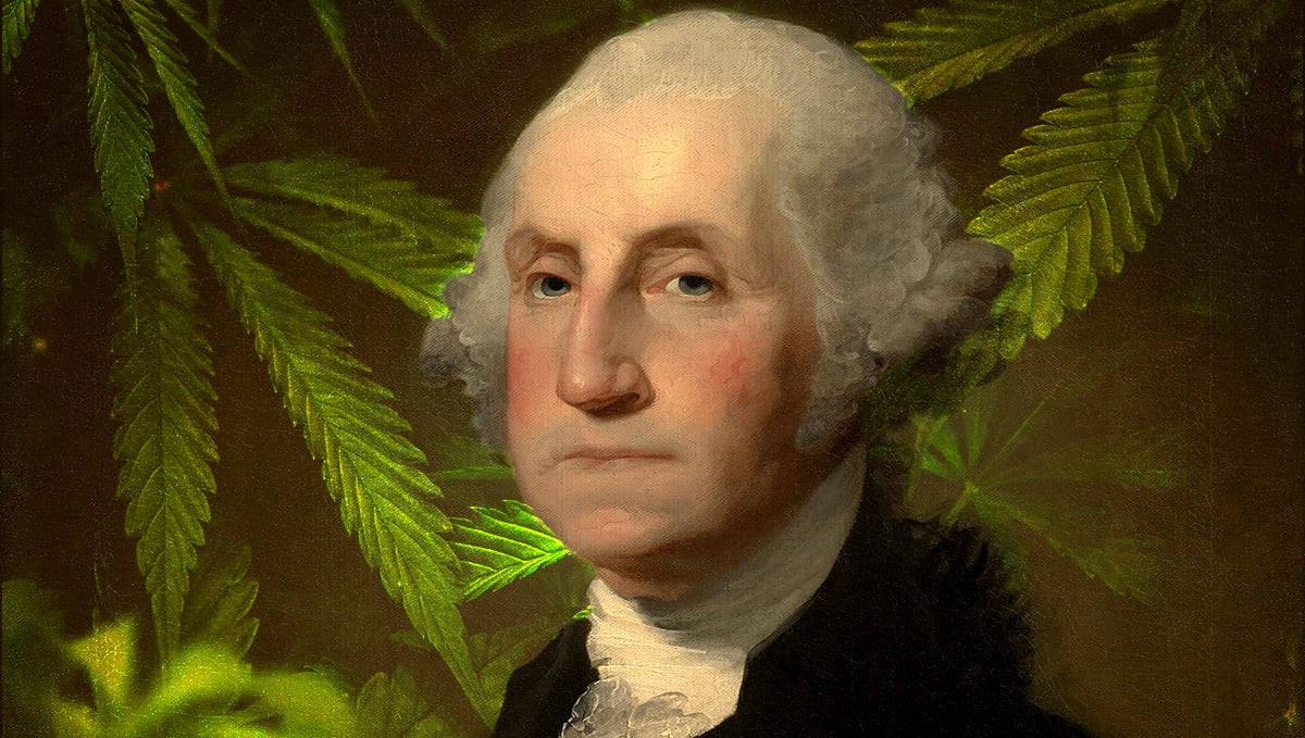 Evidence of cannabis use has been found in G. Washington's journals.