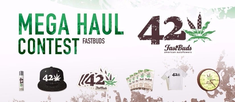 Fast Buds Haul Contest