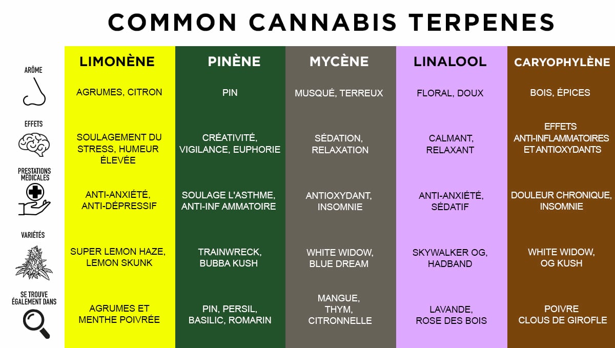 Les terpènes les plus courants
