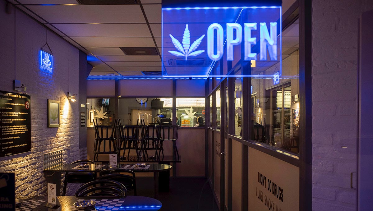 Cannabis: From Bud Tender to Master Grower: Check out the different cannabis retail positions.