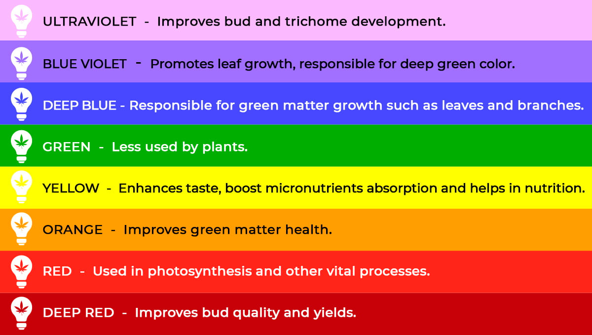 Best light spectrum for autos: light spectrum and plant growth