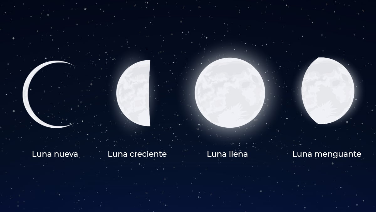 Calendario lunar: fases lunares