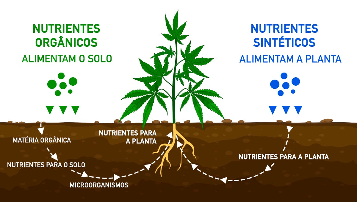 Melhor Tabela De Alimentação Para Autos: orgânico vs sintético
