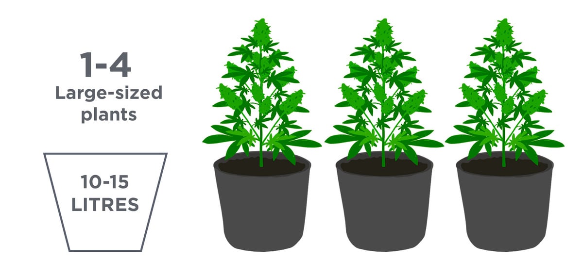 Air-Pot Choose with 1 L 3 L 9 L 12,5l 20 L 30l 38 L Flower Pot Grow 