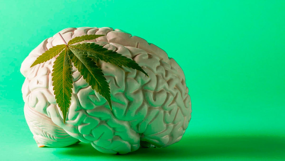 Cannabis Related Stomach Disorder On The Rise: Let's see why would weed cause CHS.