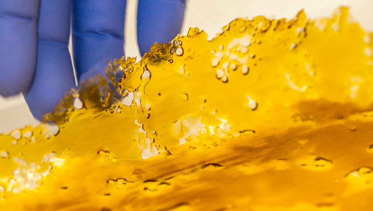 Cannabis Concentrates and Extracts: Resin
