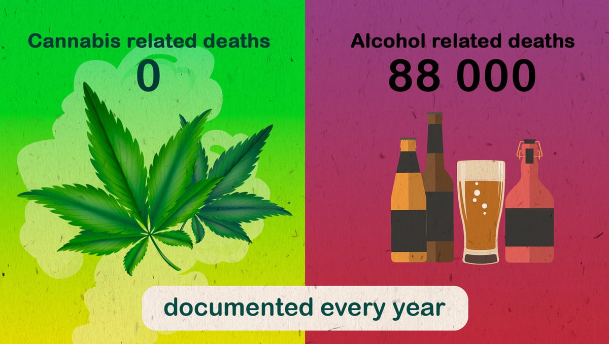 Cannabis Vs Alcohol – What's Safer for You?: death statistics