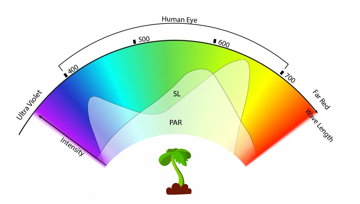 How Much Light Does A Grow Room Need?: Understanding PAR Photoactive radiation
