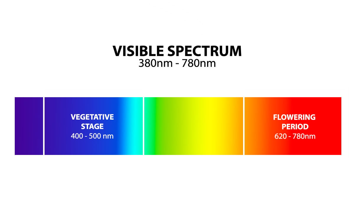 Best light spectrum for autos: visible spectrum