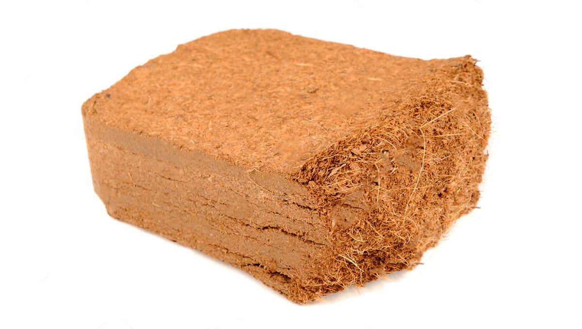 Tips for Growing Autoflowers in Coco Coir: coco in a brick