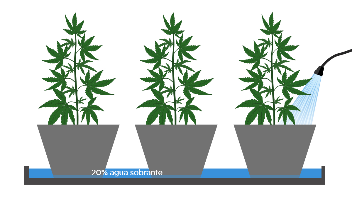 9 consejos para ahorrar tiempo: bandeja de plástico 9 consejos para ahorrar tiempo: bandeja de plástico