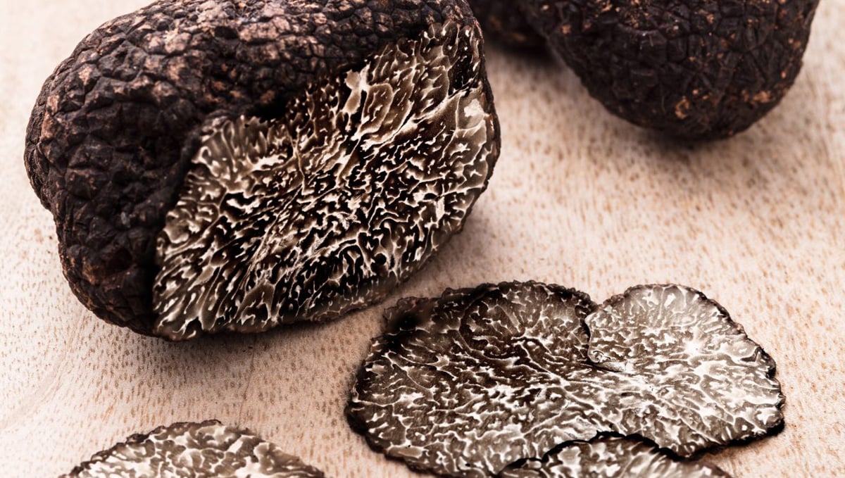 Non-marijuana cannabinoids: black truffles