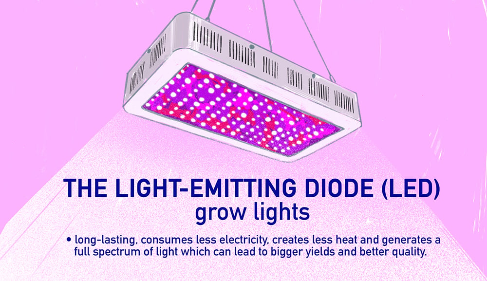 How to Grow Cannabis Indoors: a Beginners guide - 2021 (Part 1): LED Grow Lights