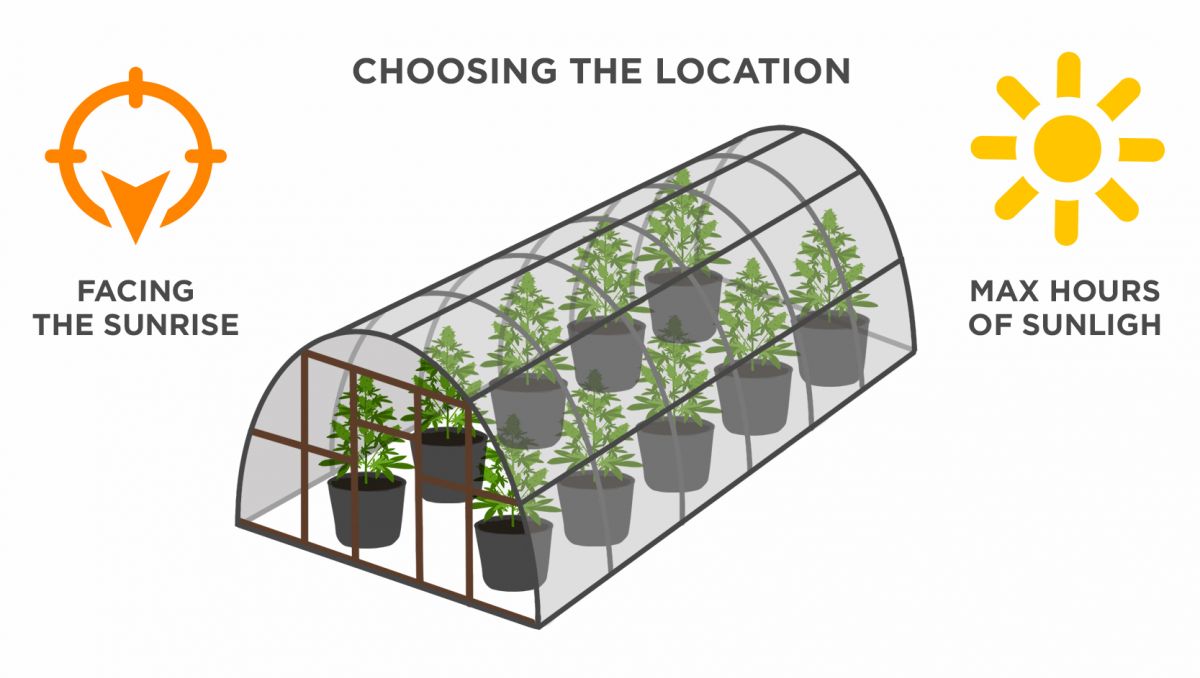 Growing Autoflowering Cannabis Outdoors: your location