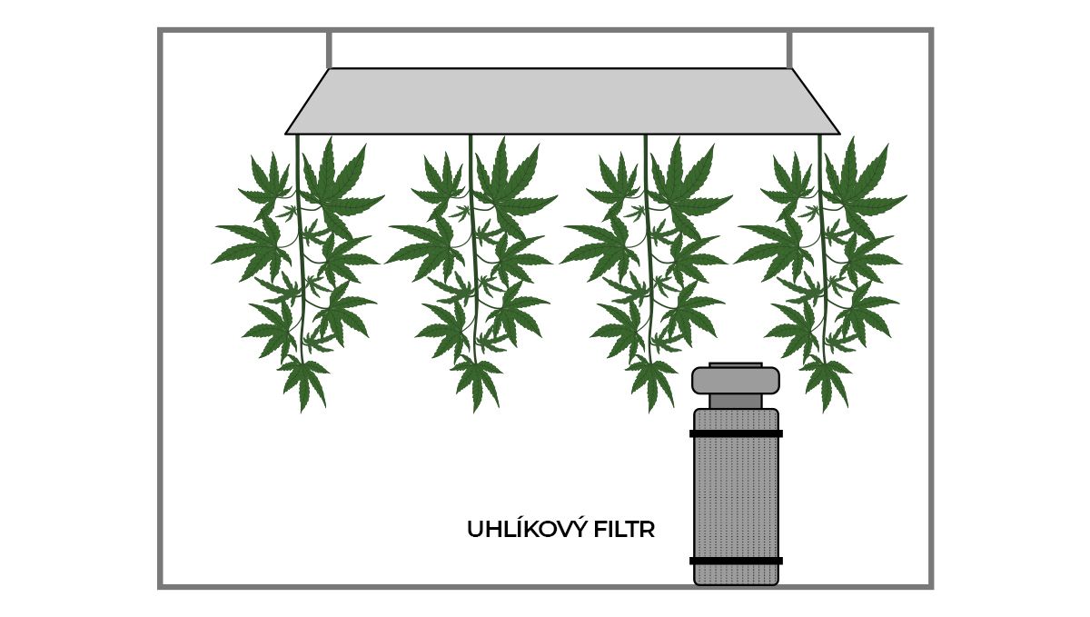 Jak sušit konopí: uhlíkový filtr Jak sušit konopí: uhlíkový filtr