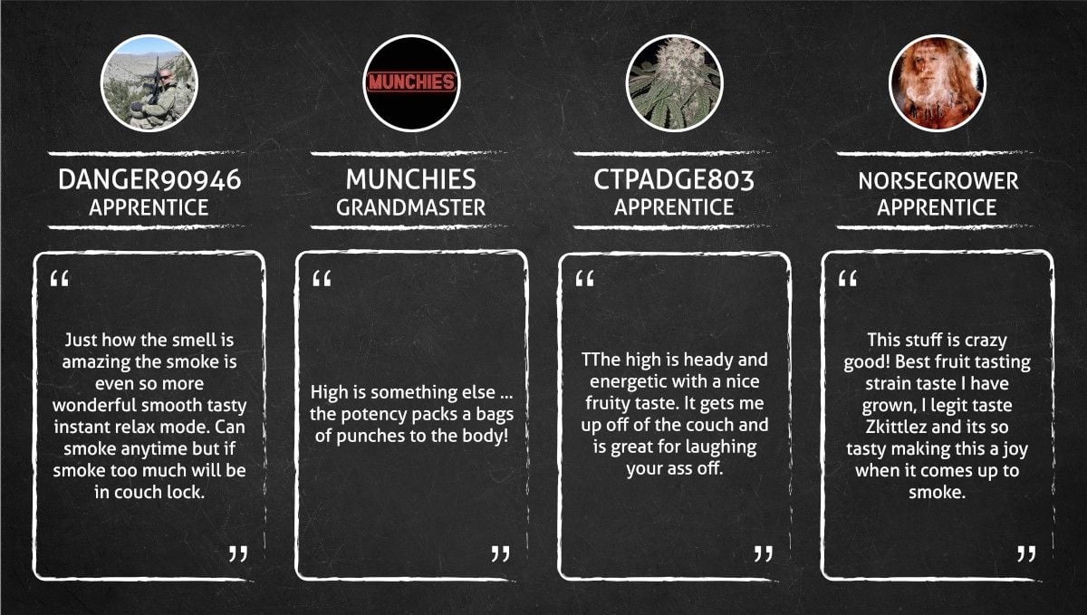 What do smokers say about Watermelon Z Auto