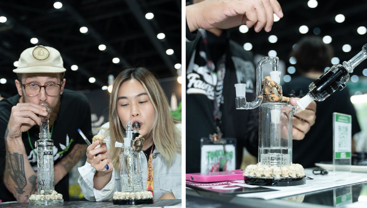 Delicious dabs to start the expo with the right foot. Delicious dabs to start the expo with the right foot.