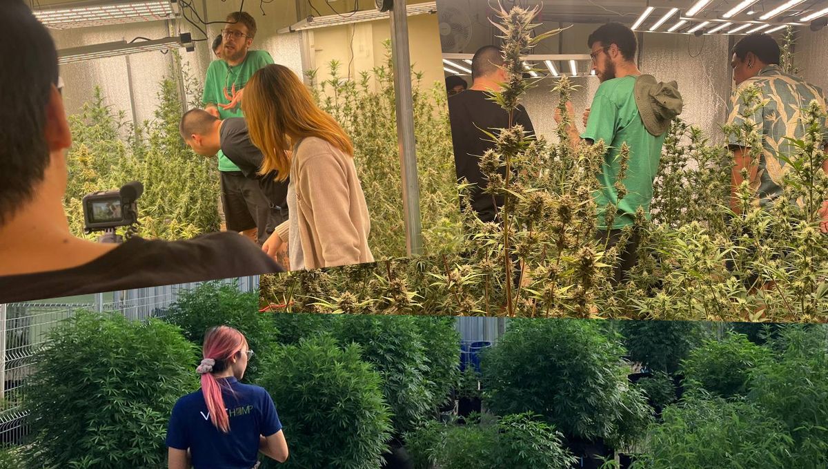 Fast Buds dobývají Thajsko: