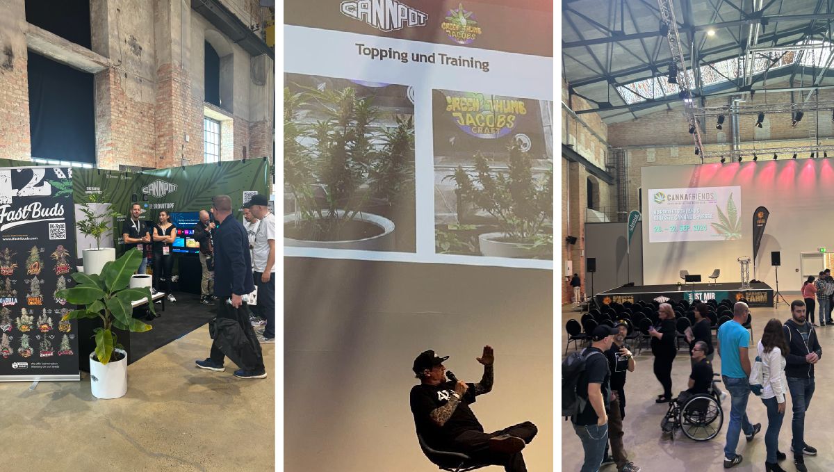 CannaFriends Hanover