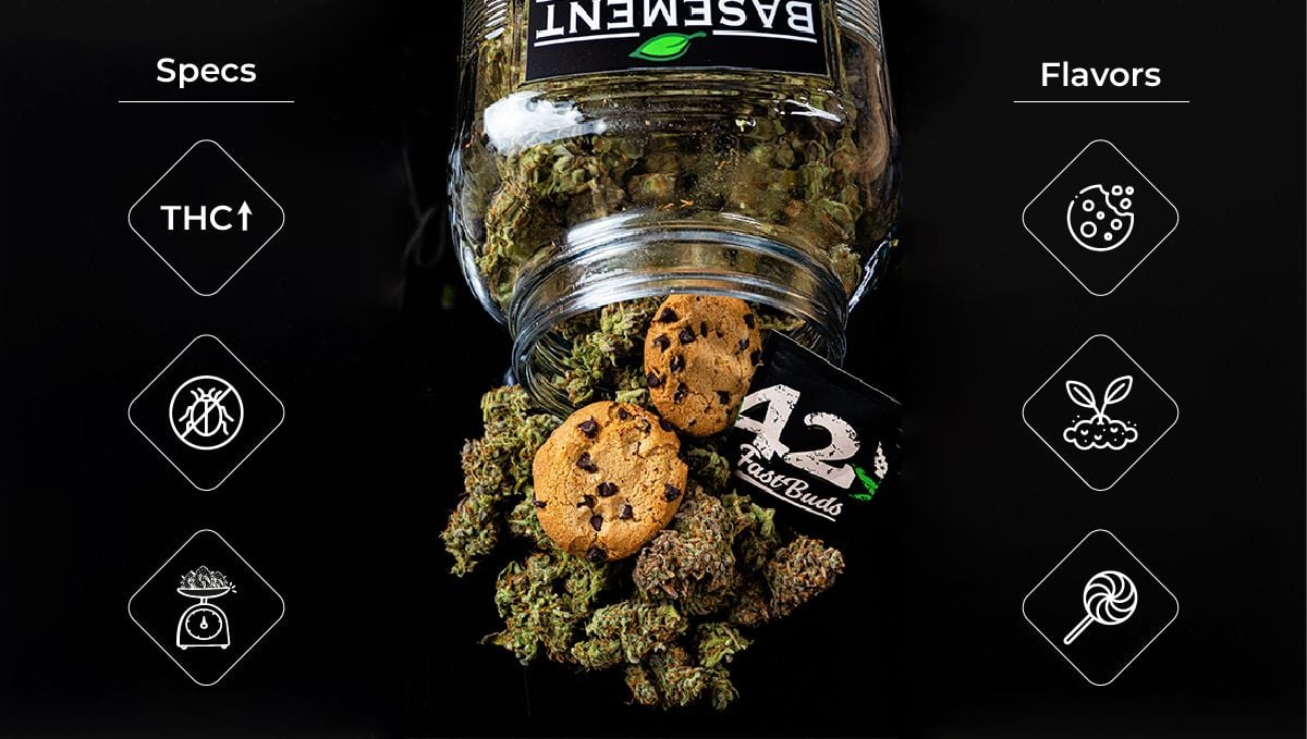 Modern autoflowers are very different from the first generations and have nothing to envy to most photoperiods. Modern autoflowers are very different from the first generations and have nothing to envy to most photoperiods.