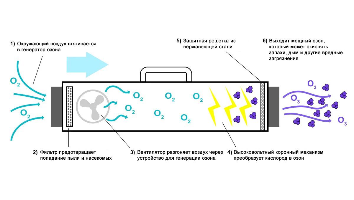 When do Autoflowers Start to Smell?: How an air ozone generator works