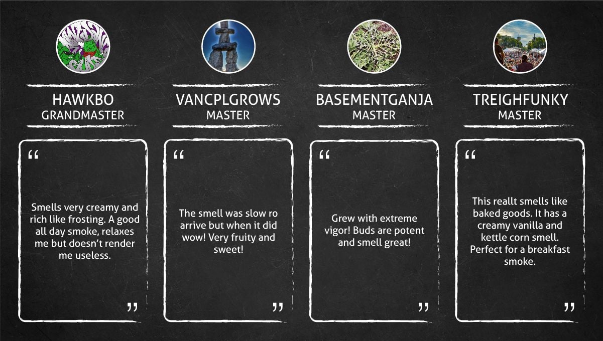 Wedding Cheesecake Smoke Report