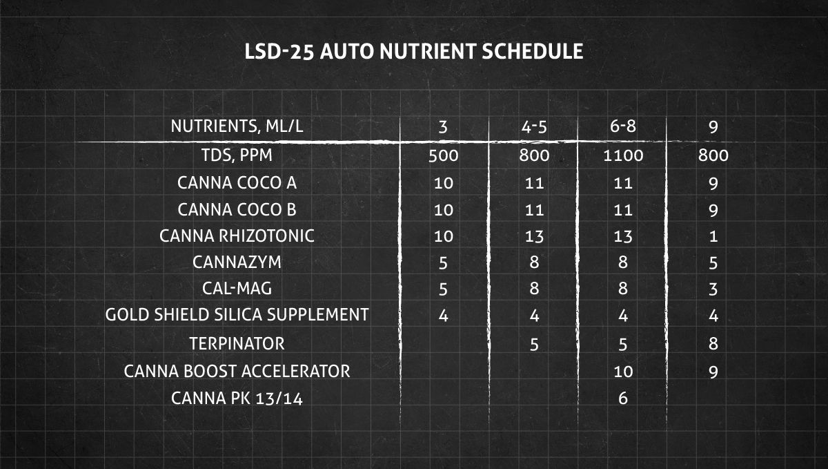 LSD-25 Auto cannabis strain: veg nutrient schedule