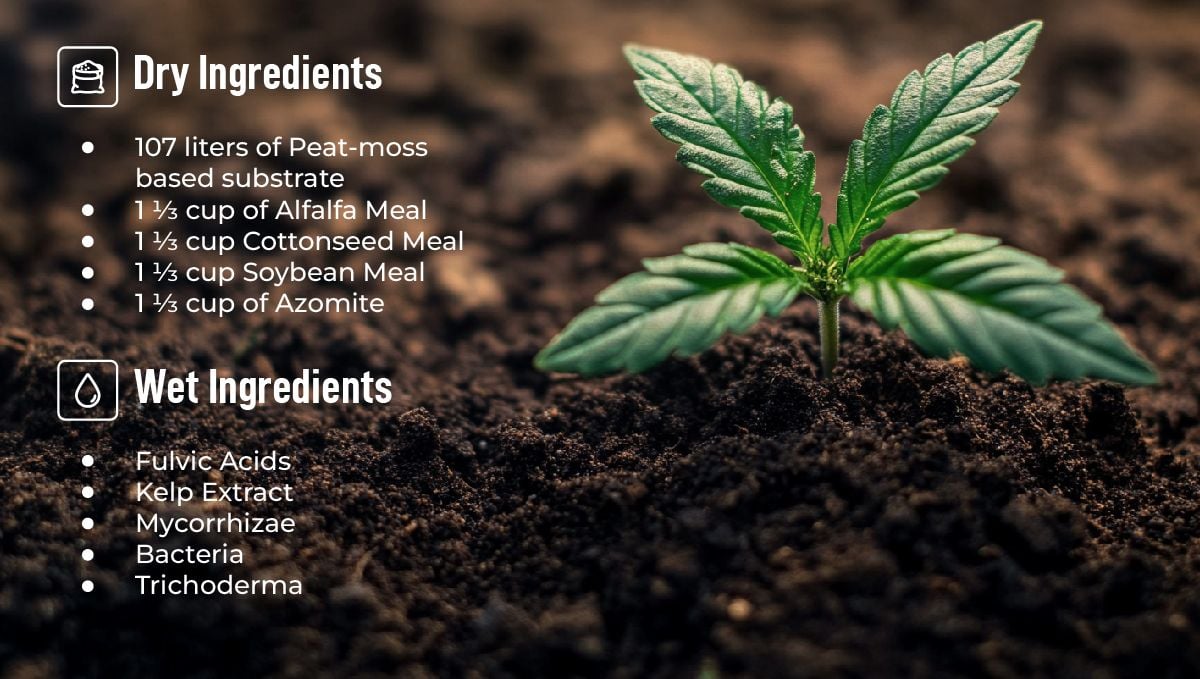 Vegan living soil recipe Vegan living soil recipe