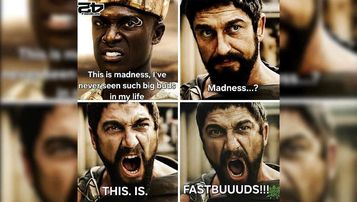 Discord Meme Winner May