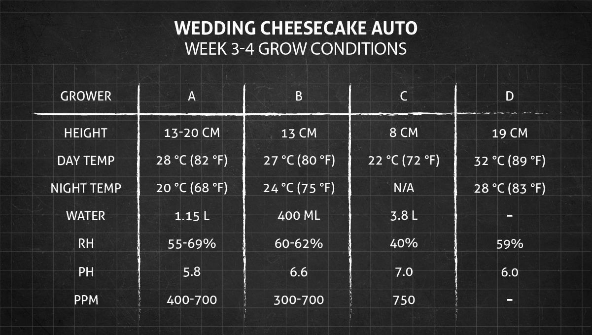 Grow Conditions Weeks 3-4