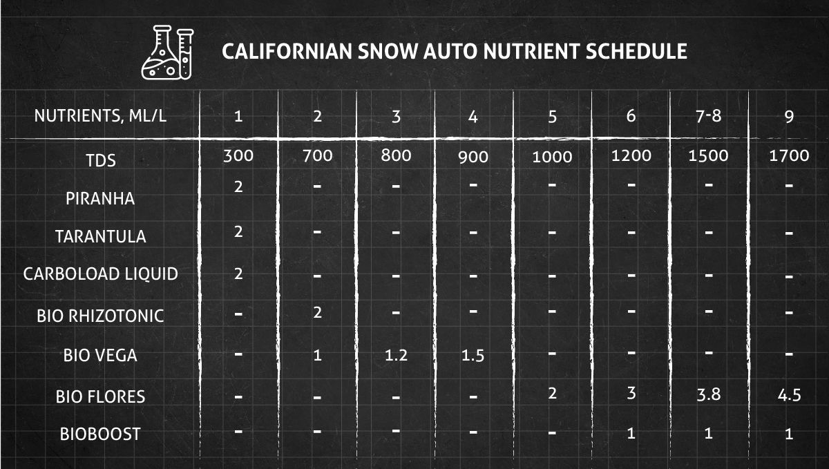 Californian Snow Auto cannabis strain: veg and flower nutrient schedule