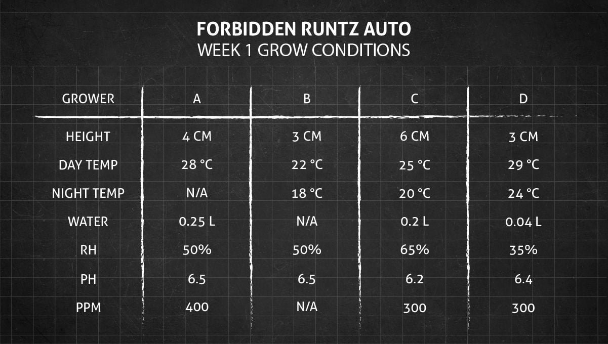 Forbidden Runtz Auto Cannabis Strain Week-by-Week Guide: Week 1 grow conditions
