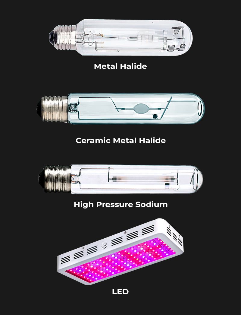 Diferentes tipos de luces 