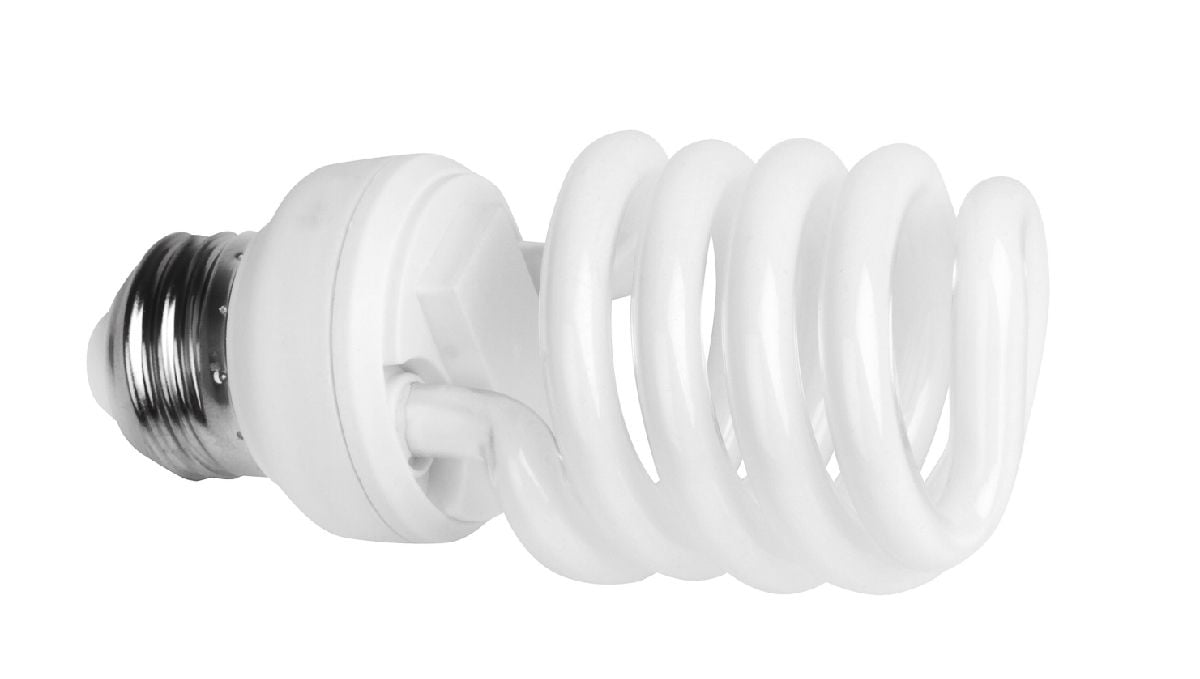 Indoor lights for cannabis grow: cfl bulbs