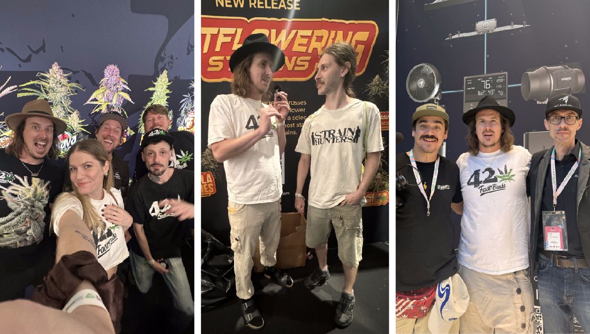 Mary Jane 2024: Die erste legale Cannabis-Expo in Europa Mary Jane 2024: Die erste legale Cannabis-Expo in Europa