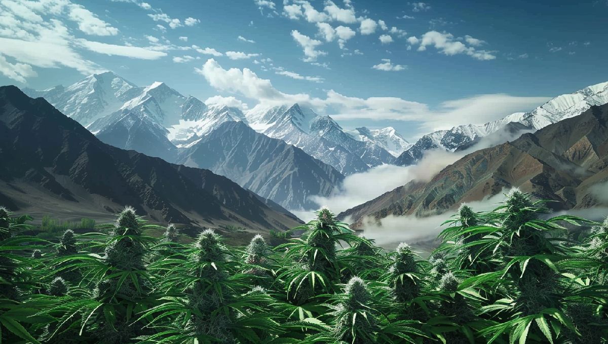 Das Hindukusch-Gebirge