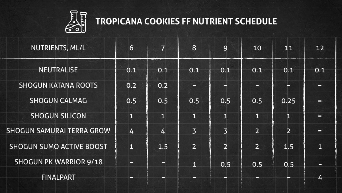Tropicana Cookies FF cannabis strain: flower nutrient schedule