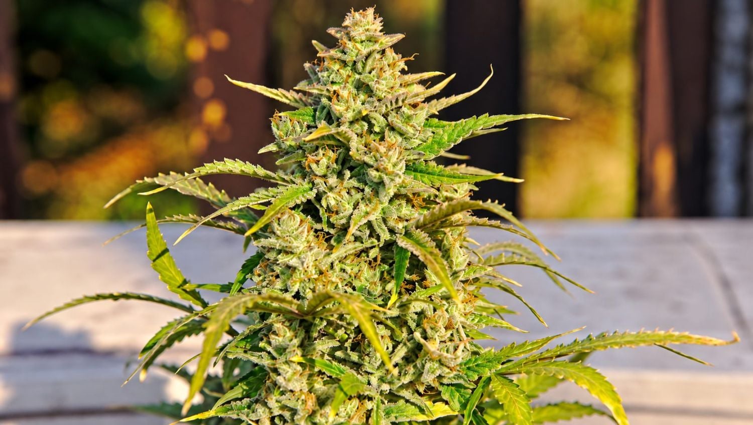 9 time-saving tips: grow and learn