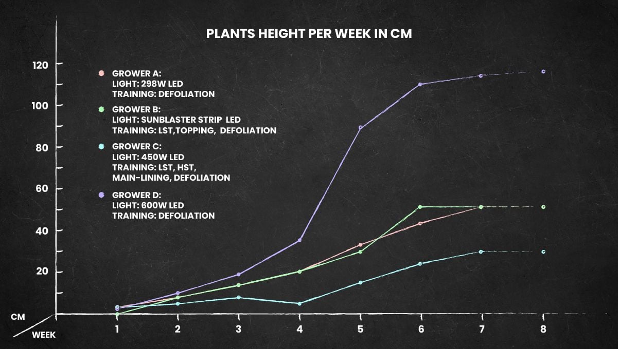 Wedding Cheesecake Auto Cannabis Strain: height chart