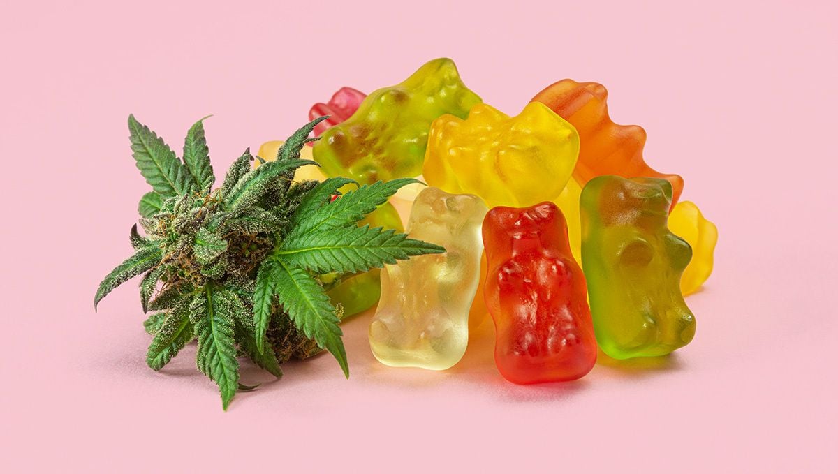 Gummy Bear Recipe - Diamond Delight Edibles